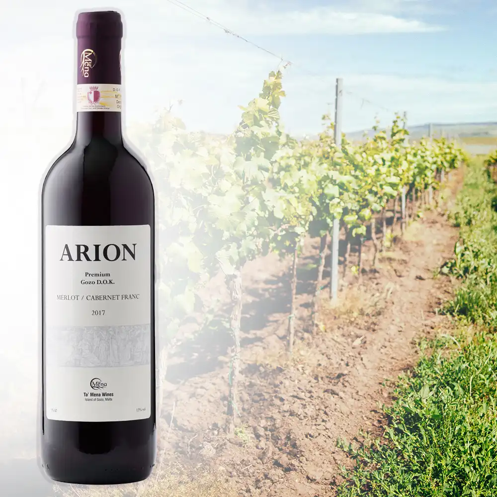 ARION1 copy arion