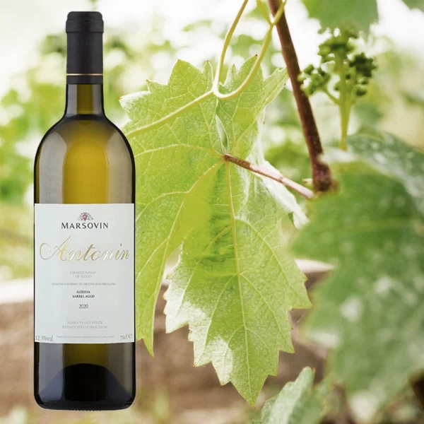 Flasche Antonin Blanc Chardonnay von Marsovin