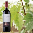 Cabernet Franc