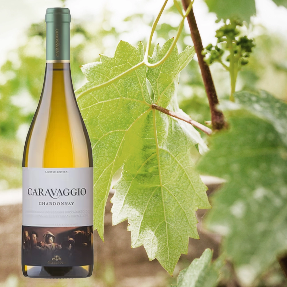 Caravaggio White Chardonnay chardonnay