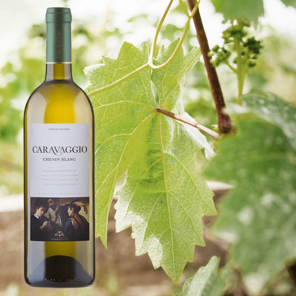 Caravaggio White Chenin Blanc