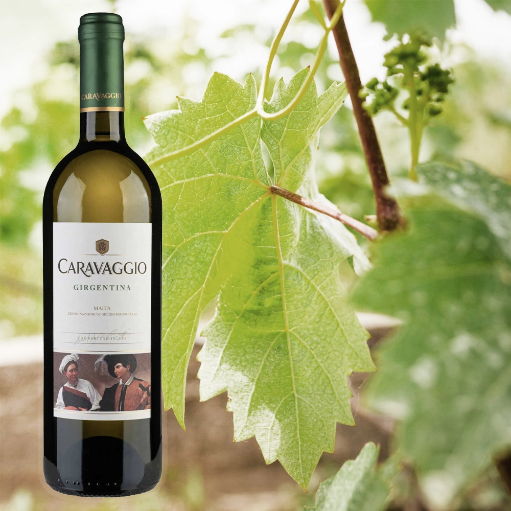 Caravaggio White Girgentina