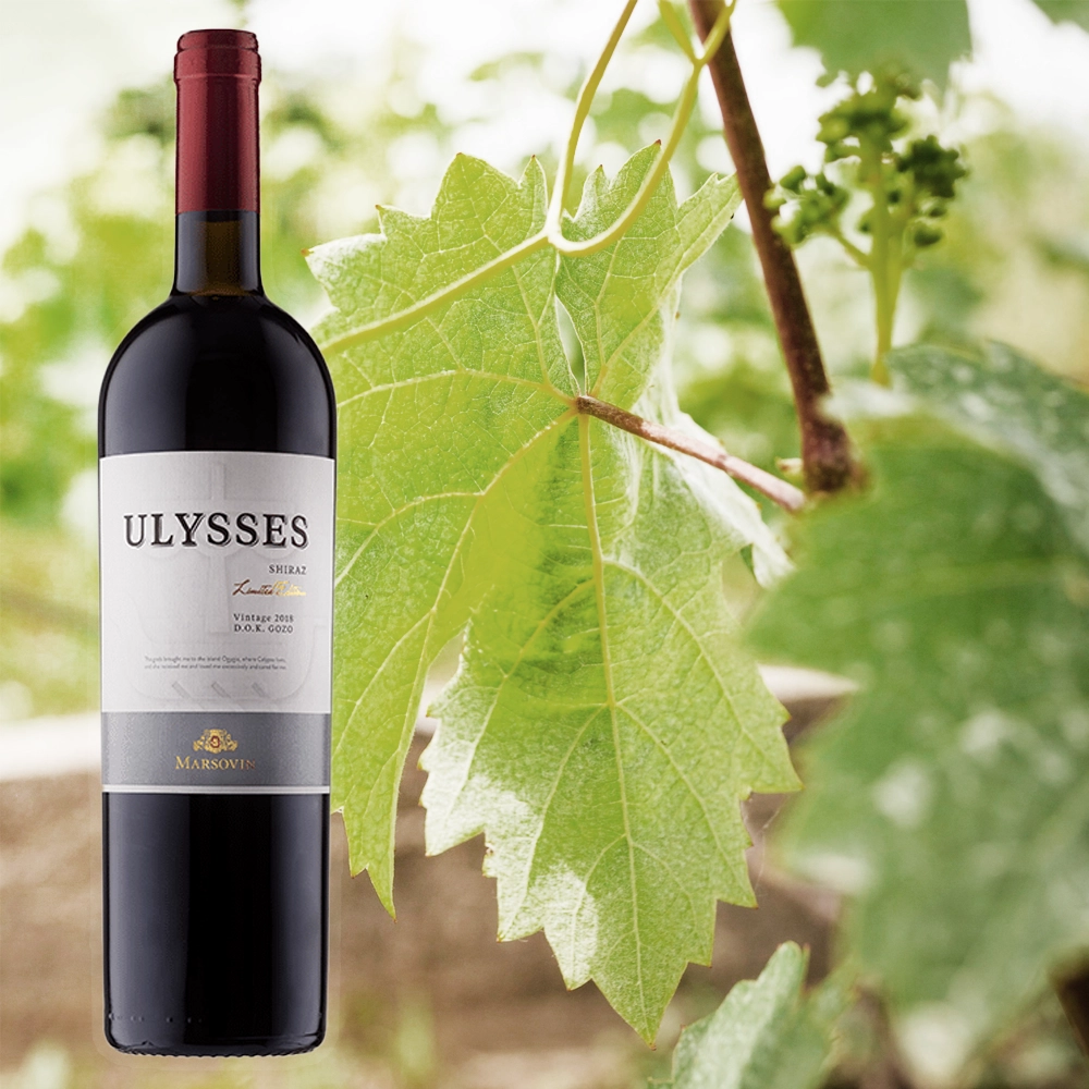 ULYSSES Red ulysses rotwein