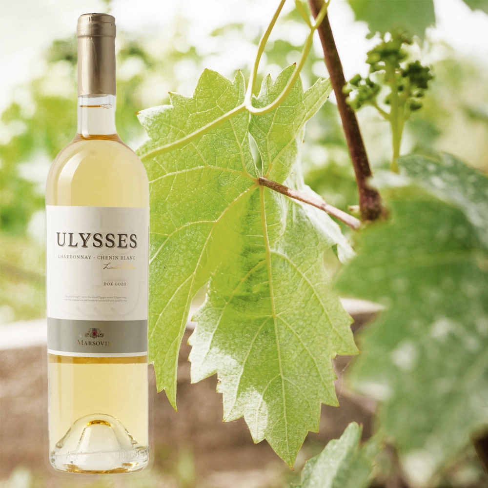 ULYSSES White Ulysses Weißwein