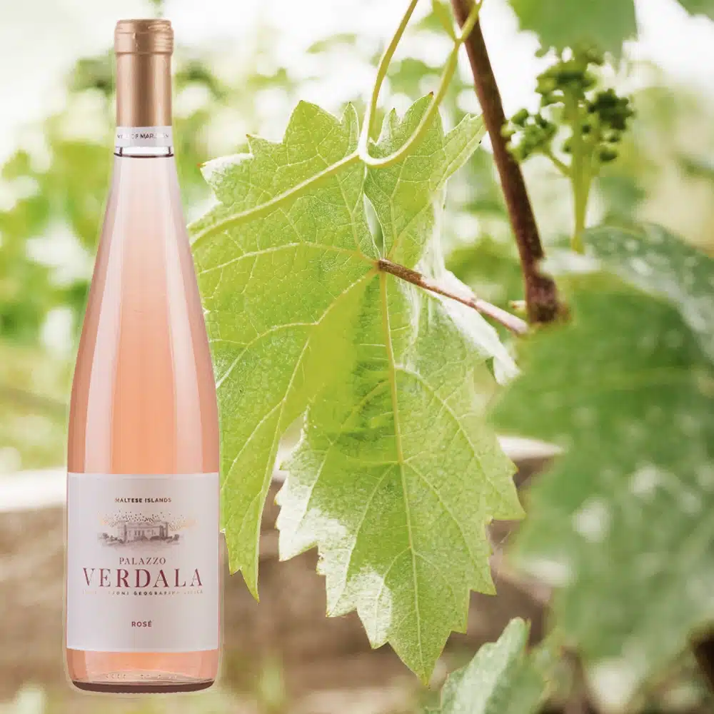 Verdala Rose verdala